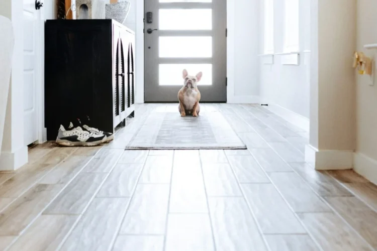Summer-Proof Your Hardwood Floors: Smart Tips for Northland Homes