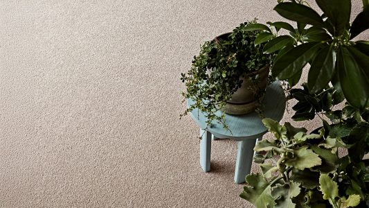 godfrey hirst inspirational 525 birchwood detail