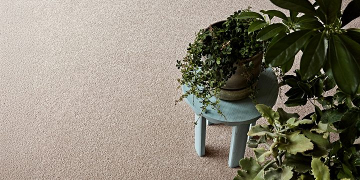 Carpet: Warm, Quiet, and Comfortable for Everyday Living godfrey hirst inspirational 525 birchwood detail