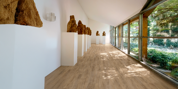 Vinyl Planks: Modern, Water-Resistant, and Easy to Clean polyflor gallery natural ash 2511